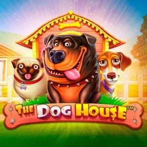 Jackpot Casino — The Dog House